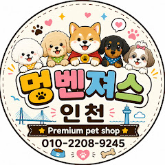 멍벤져스 부계정