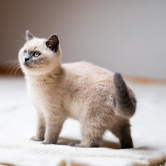 ふたりの心を感じる