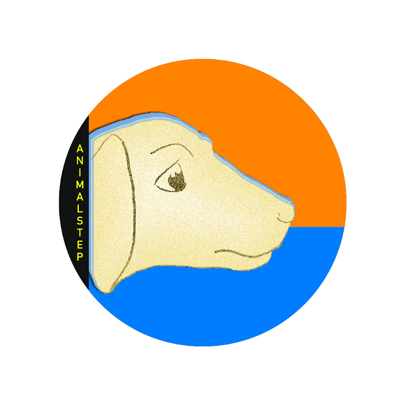 Animalstep Rescue Stories