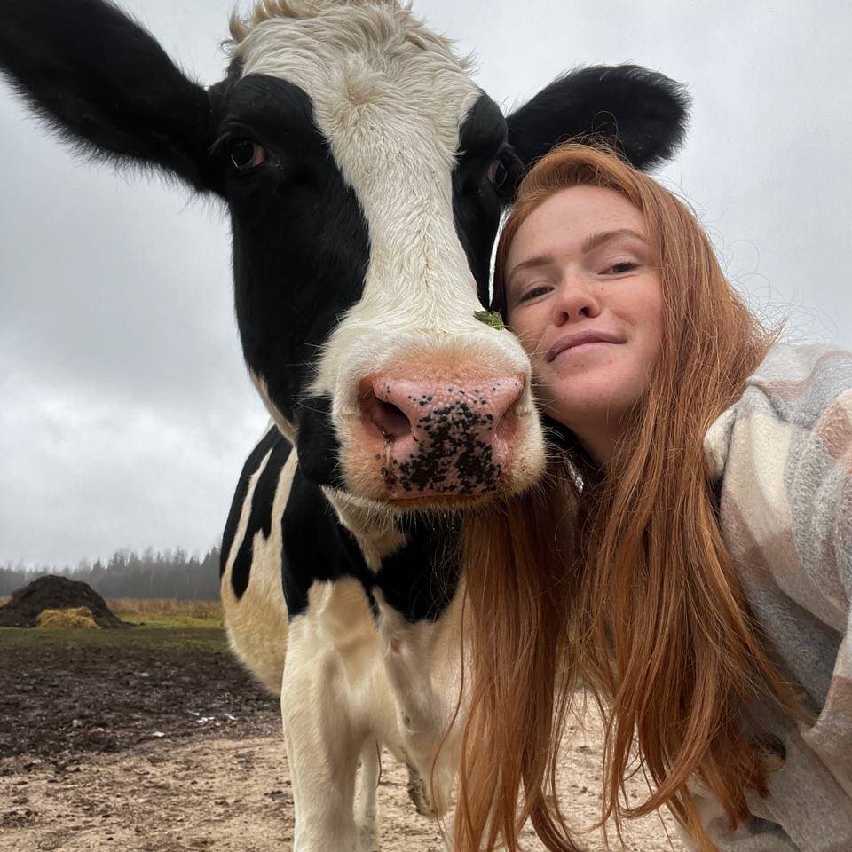 Post from Рыжий фермер