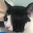 @gunyagrean4033 Avatar