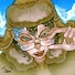 75oQaye58yU-channel-avatar-★ Ashley!?
