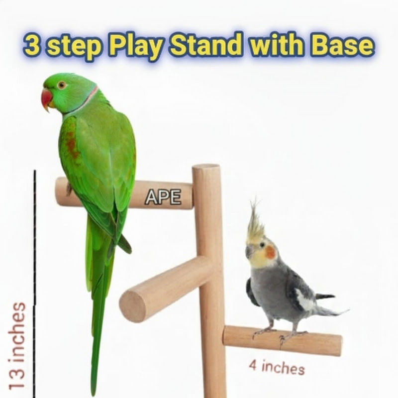 ARHAM Birds Planet