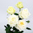 @사임당-j9r