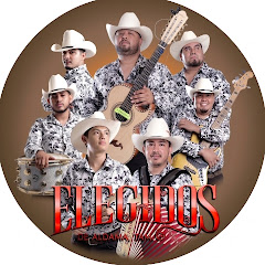 Grupo Elegidos De Aldama Tam.
