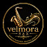 9RjK_x469pc-channel-avatar-Velmora Sax