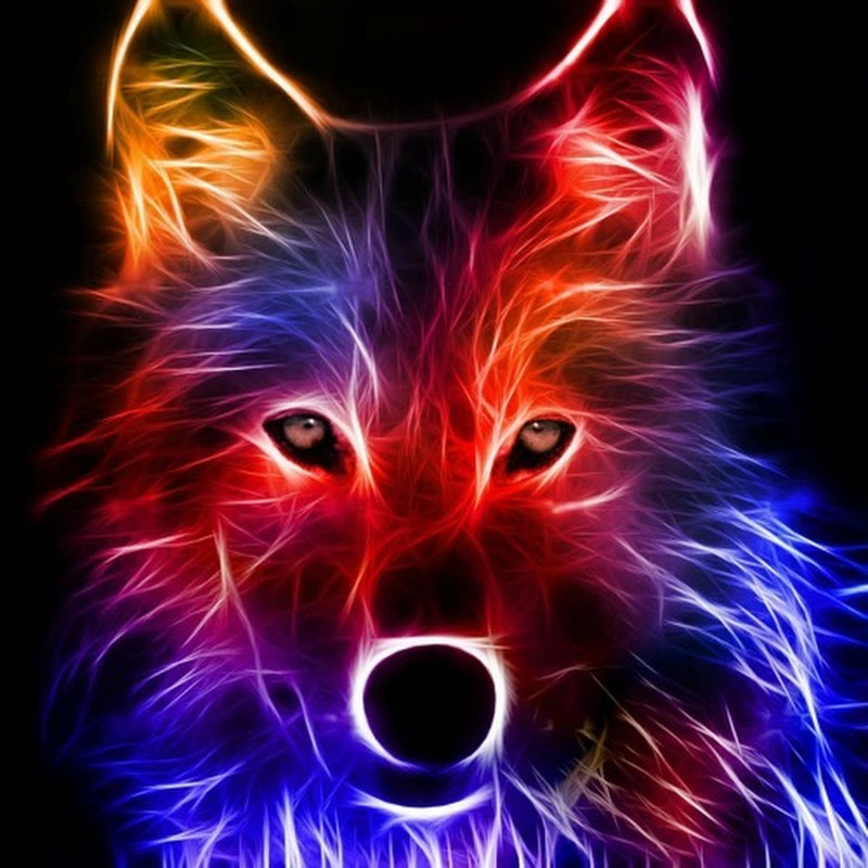 Warrior of Dreams