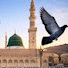 MwePRqv1WzE-channel-avatar-Dawat-e-Ilahi
