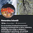 aUZpmOMBLjY-channel-avatar-Naturalna Islandii 
