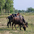 _VA9Ee3vDLA-channel-avatar-Stm Village