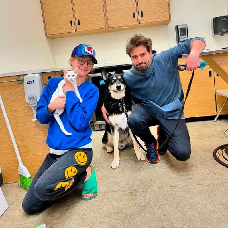 Save Rally DoCats Uk