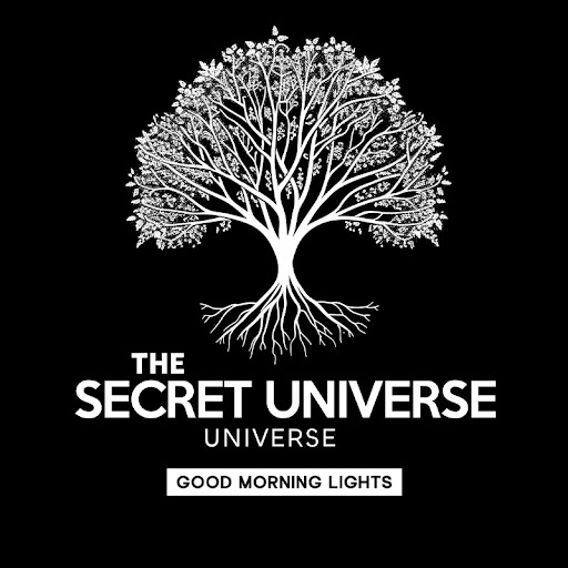 The Secret Universe