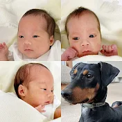 三つ子と犬ものがたり
