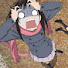 eUppRl_Ftbo-channel-avatar-2timesecretlover (hiatus)