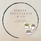 Serene Succulents & Co