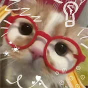 🍥•𝙎𝙘𝙖𝙧𝙡𝙚𝙩𝙩𝙕𝘻•ツ