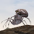 beozhw0ikr4-channel-avatar-Scenic Pixels
