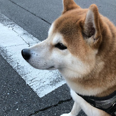 カオルのチャンネルアイコン