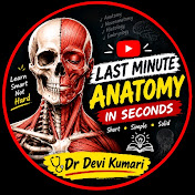 Last Minute Anatomy