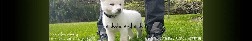 a dude and a dog YouTube 频道头像