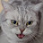 @surilove_surilove