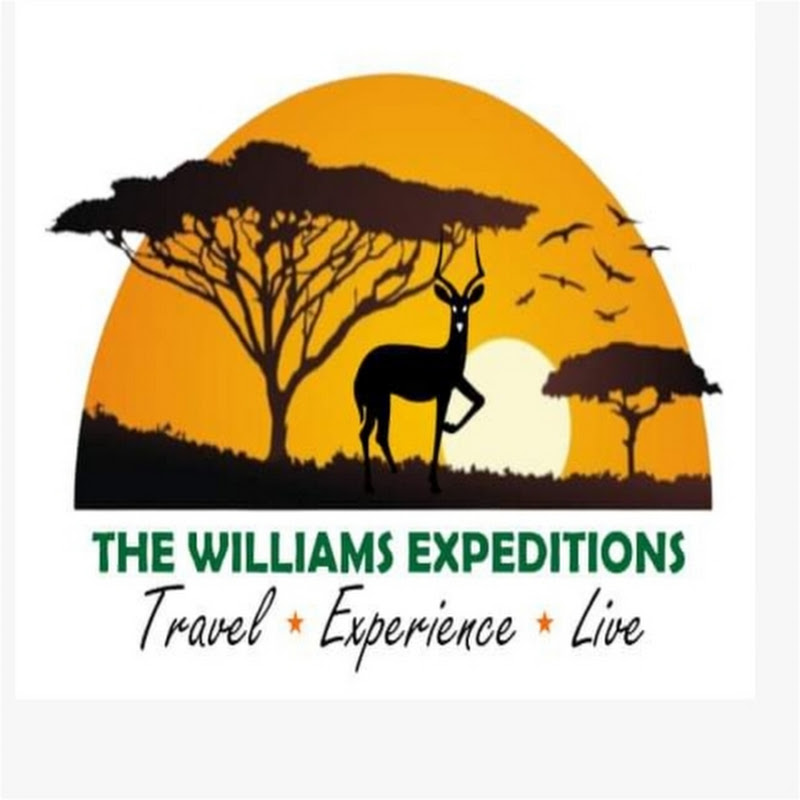 Conquers your fears, one rope at a time!#travel #events #nature #adrenalinerush