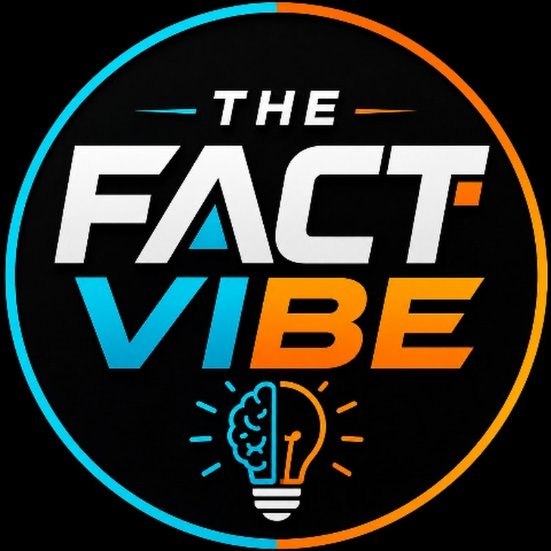 TheFactVibee