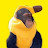 @Bananavr-x4o Avatar