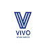 TWulfIlbwNo-channel-avatar-VIVO shoesalon