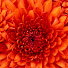 wBwg5b-MKZY-channel-avatar-grandesflashs