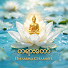 WYcaigisloc-channel-avatar-သစ္စာရွှေစည်ဆရာတော် တရားတော်များ 