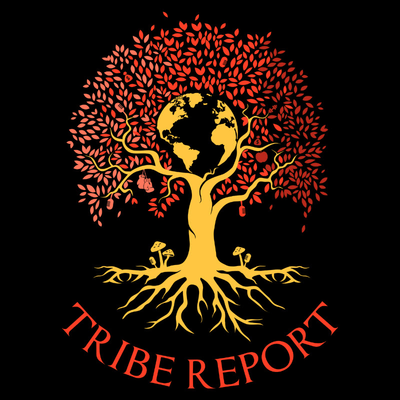 Tribe Report
