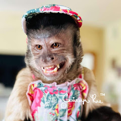 Gaitlyn Rae net worth