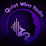 r5vMa3L0A2E-channel-avatar-Quiet Wins Radio