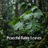 atah7GwhJac-channel-avatar-Peaceful Rainy Leaves