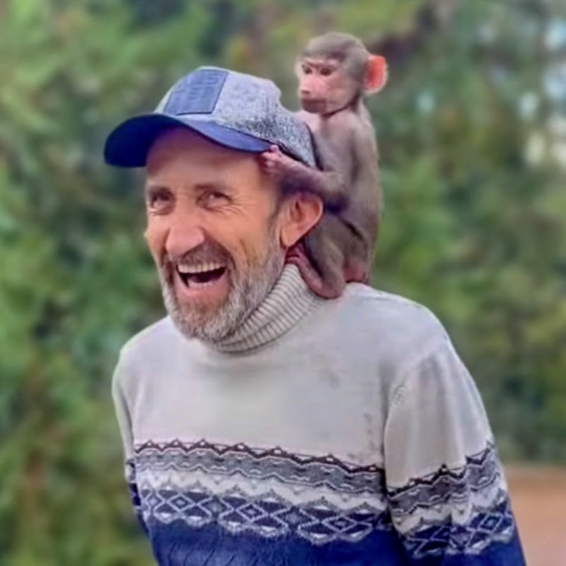 Тайган #Shorts. Гамадрил Люська и компания Logo