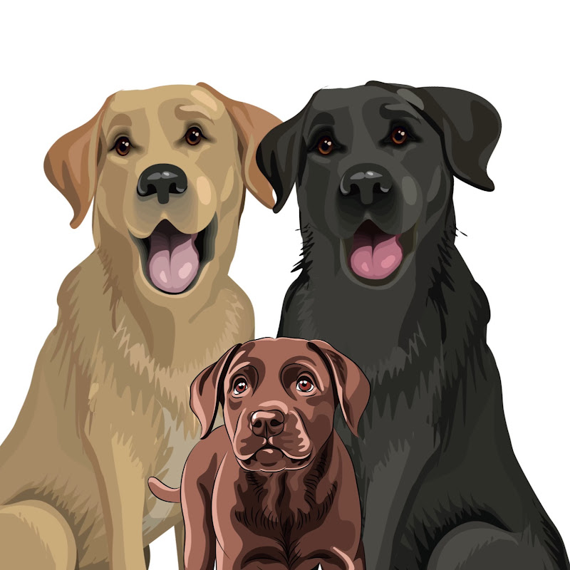 The Labrador Fam