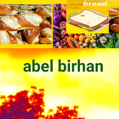 Abel  Birhan net worth