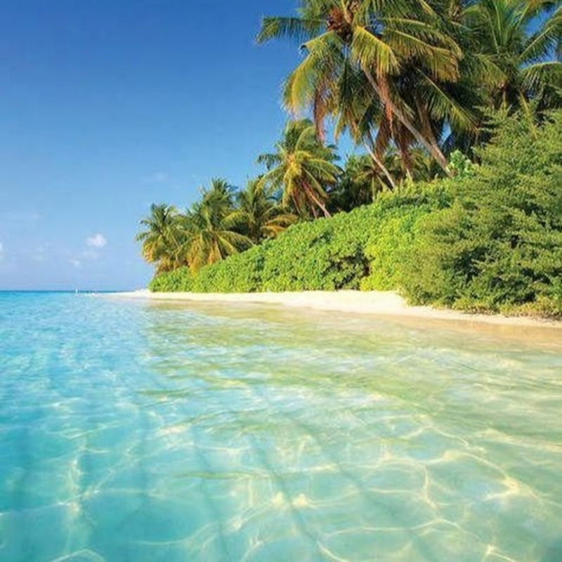 FiJi17