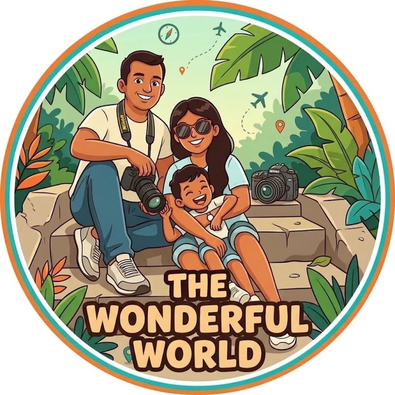     The wonderful world 