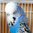 ACM-Budgie-Aviary