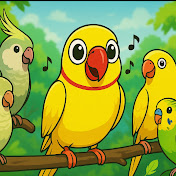 Mr Yellows Parrot Perch