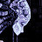 @ackliph Avatar