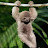 @iamyoursloth