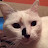 @therealcarolinegie's avatar