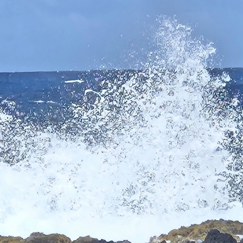 aloha see maui