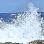 aloha see maui