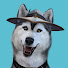 y1QBUkM4nts-channel-avatar-AcreTheDog