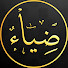 W_cdYI_E9Yc-channel-avatar-ضياء TV