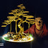 _D_FelQoHH8-channel-avatar-Quang Định Bonsai